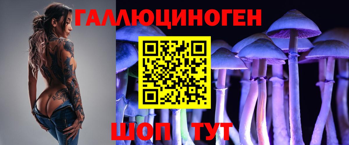 Галлюциногенные грибы ЛСД Новочебоксарск