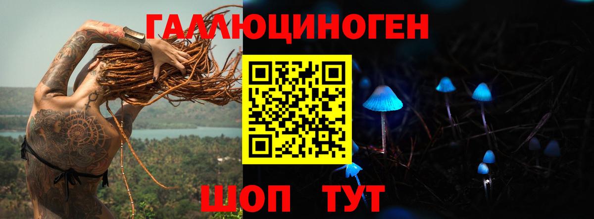 Новочебоксарск  Псилоцибиновые грибы Cubensis  Вход с VPN 